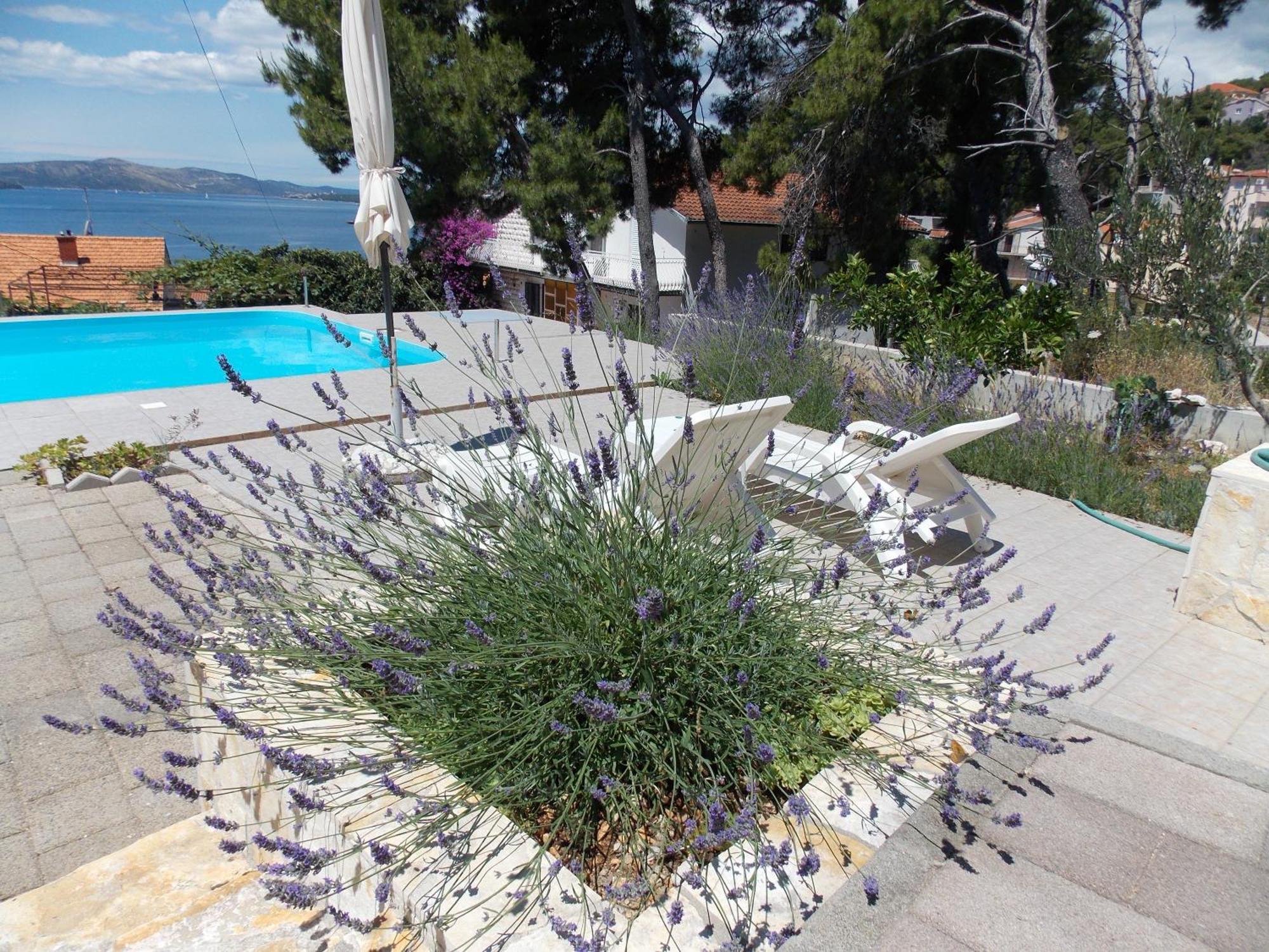 Apartments Villa Goja Trogir Quarto foto